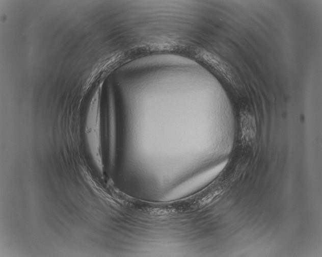 X0000067380494200604211611