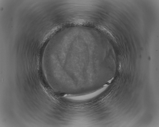 X0000067380496200604211611
