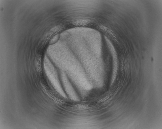 X0000067380498200604211611