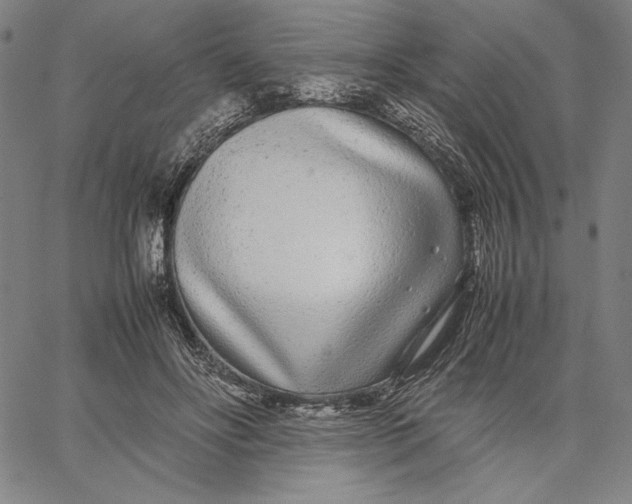 X0000067380502200604211611