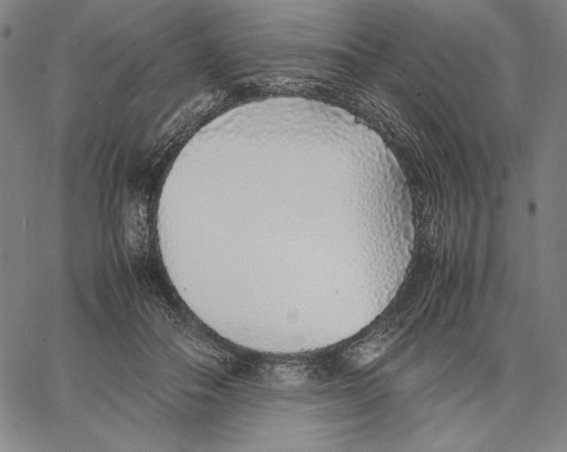 X0000067380506200604211611