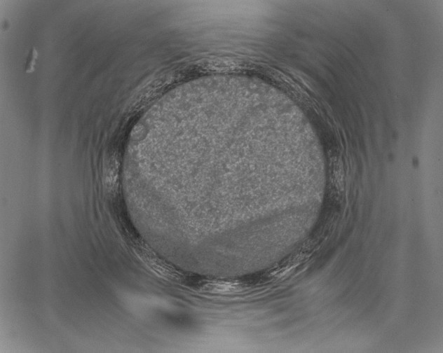 X0000067380507200604211611