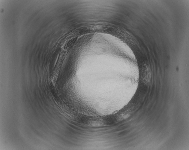 X0000067380510200604211611