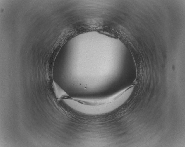 X0000067380512200604211611
