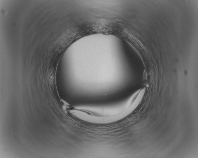 X0000067380513200604211611