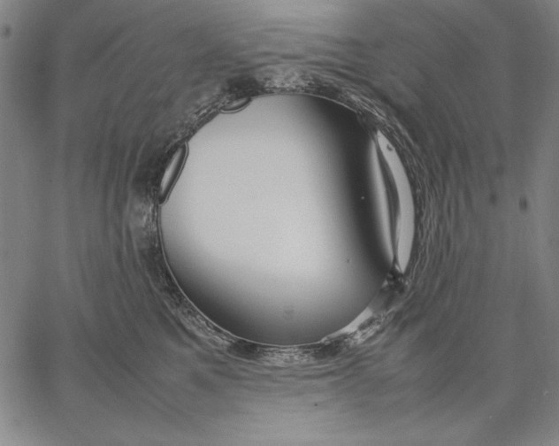 X0000067380521200604211611
