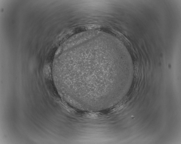 X0000067380523200604211611