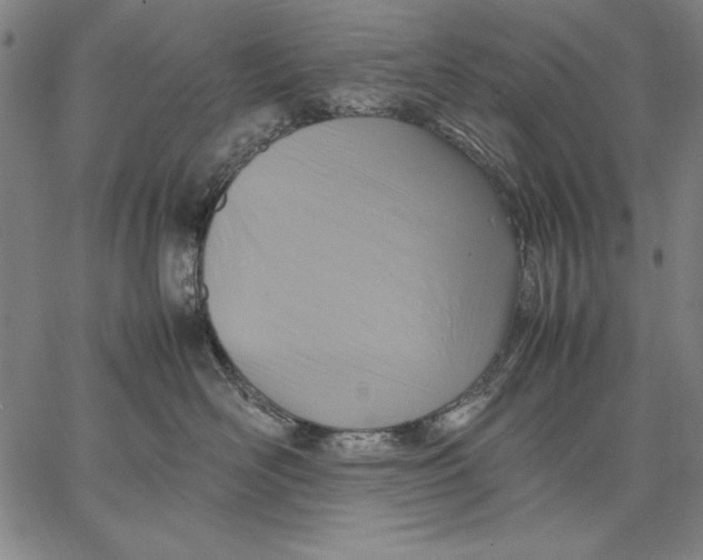 X0000067380526200604211611