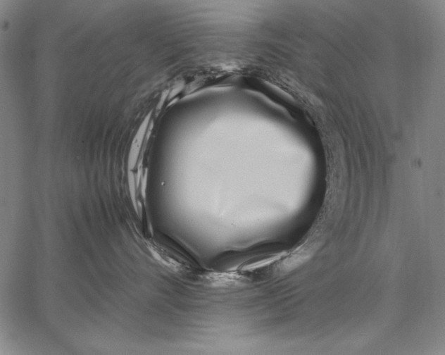 X0000067380528200604211611