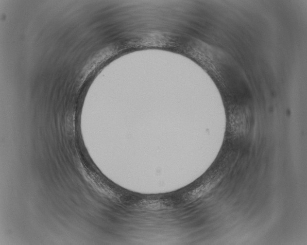 X0000067380534200604211610