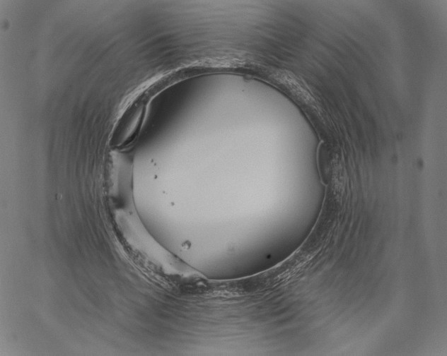 X0000067380536200604211610