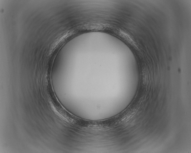 X0000067380538200604211610