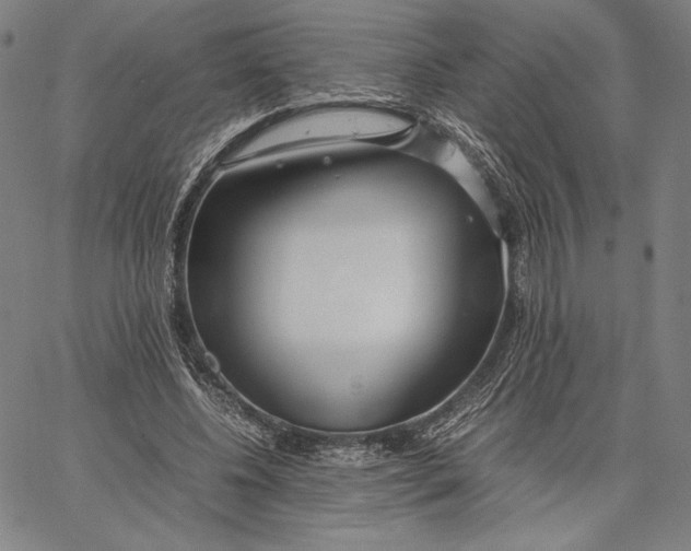 X0000067380540200604211610
