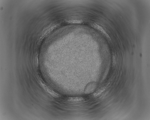 X0000067380541200604211610