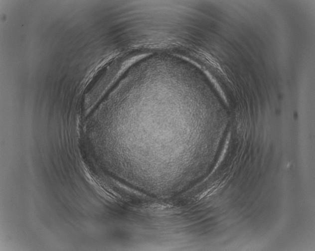 X0000067380542200604211610
