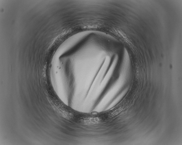X0000067380543200604211610