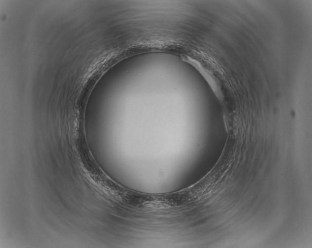 X0000067380544200604211610
