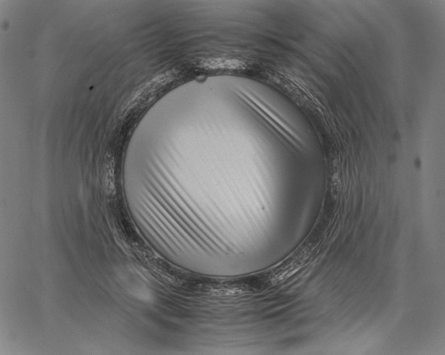 X0000067380547200604211610