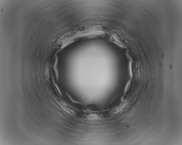 X0000067380562200604211611