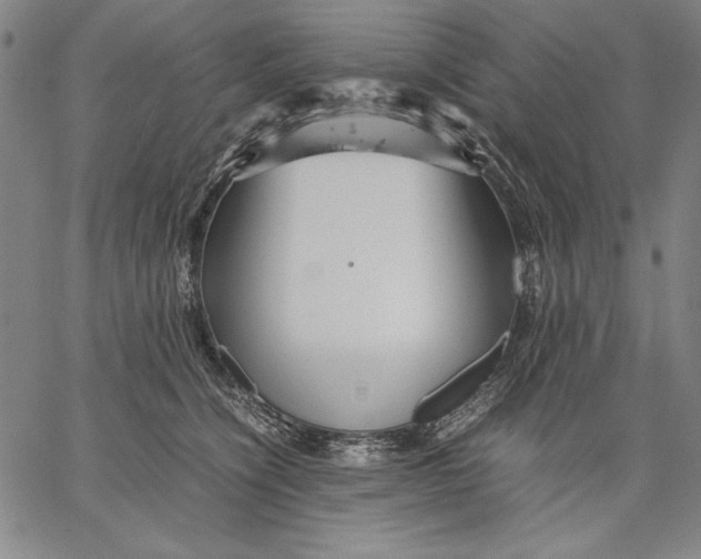 X0000067380564200604211611