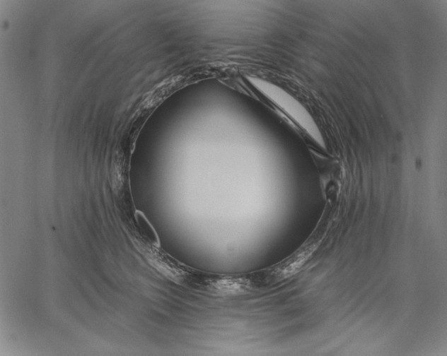 X0000067380566200604211611