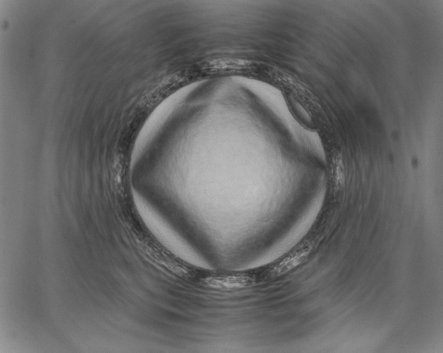 X0000067380567200604211611