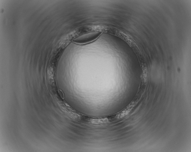 X0000067380571200604211611