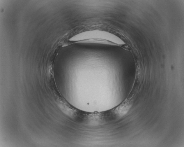 X0000067380574200604211611
