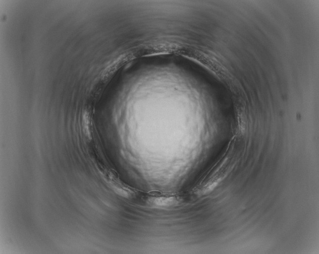 X0000067380575200604211611