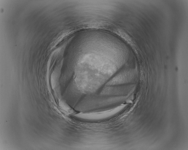 X0000067380577200604211610