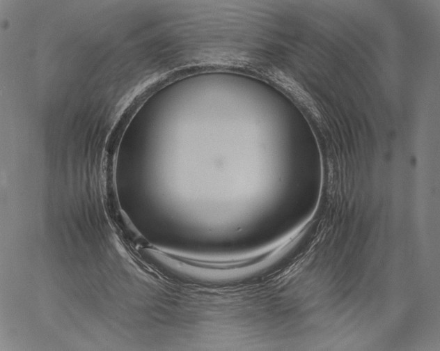 X0000067380580200604211610