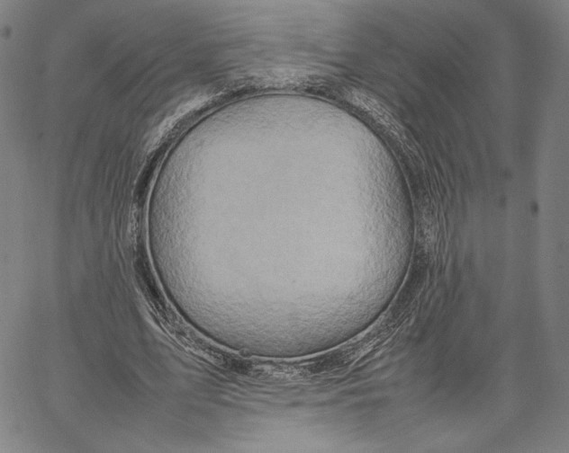 X0000067380583200604211610