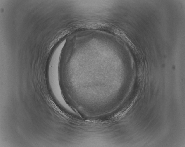 X0000067380585200604211610