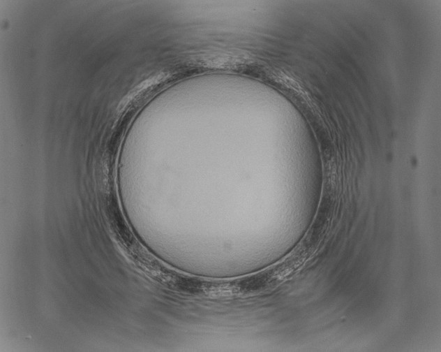 X0000067380587200604211610