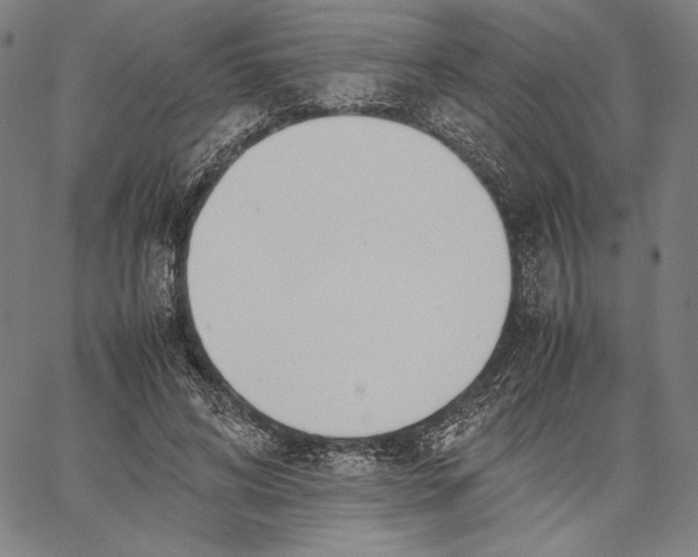 X0000067380592200604211610