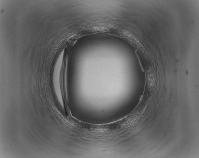 X0000067380593200604211610
