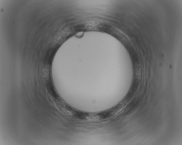X0000067380603200604211610
