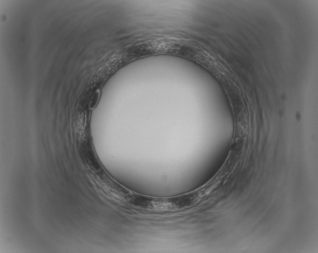 X0000067380605200604211610
