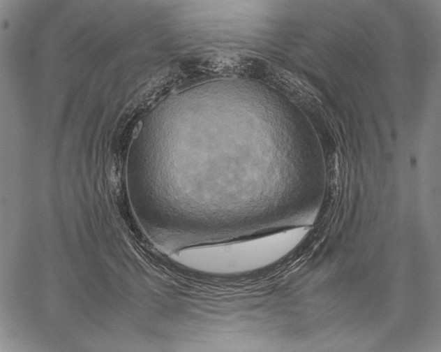 X0000067380607200604211609