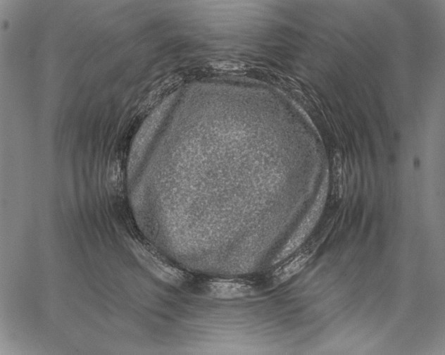 X0000067380614200604211609