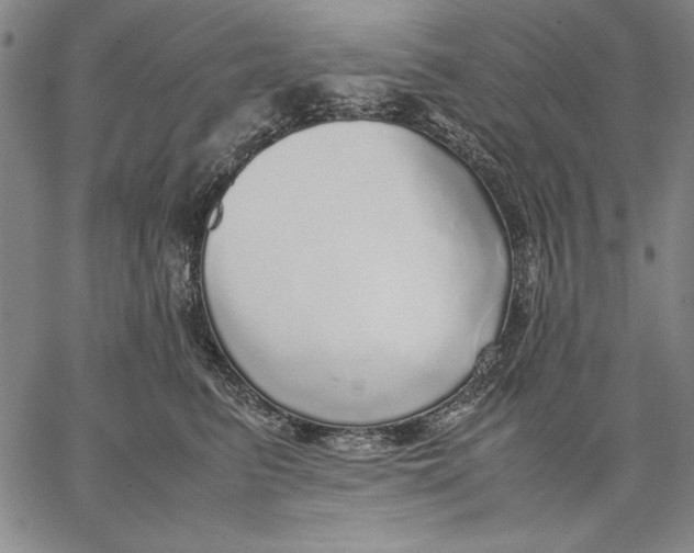 X0000067380615200604211609