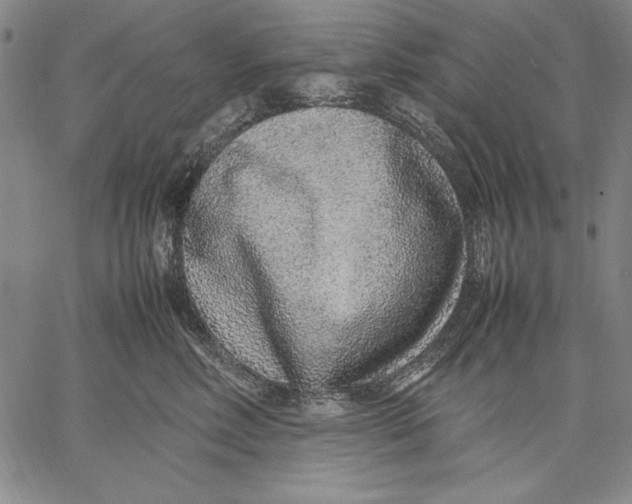 X0000067380618200604211609