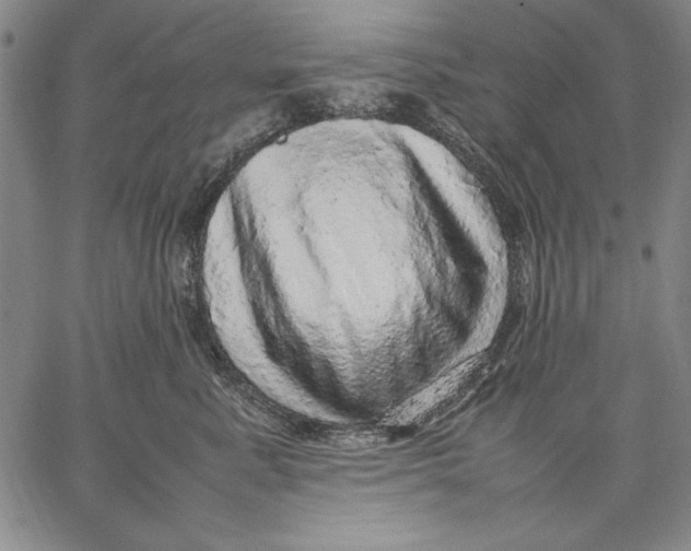 X0000067380619200604211609