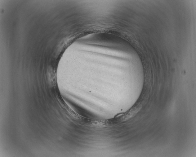 X0000067380624200604211609