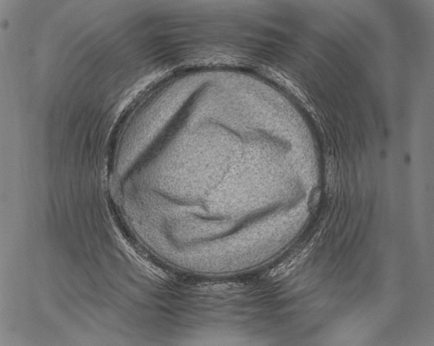 X0000067380629200604211608