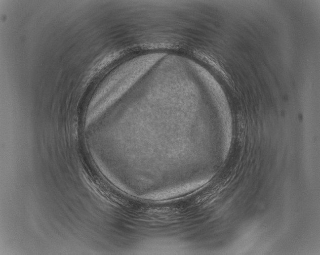 X0000067380631200604211609