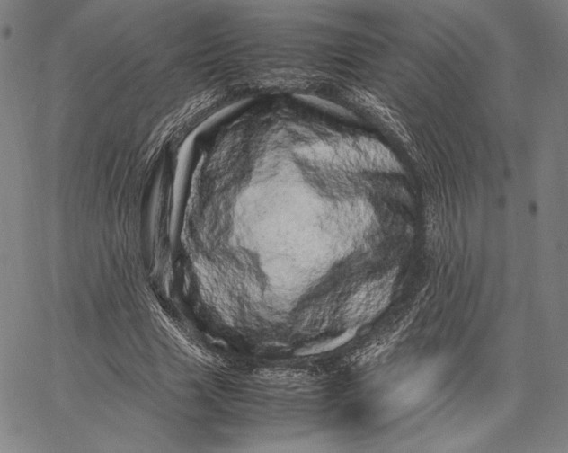 X0000067380633200604211609