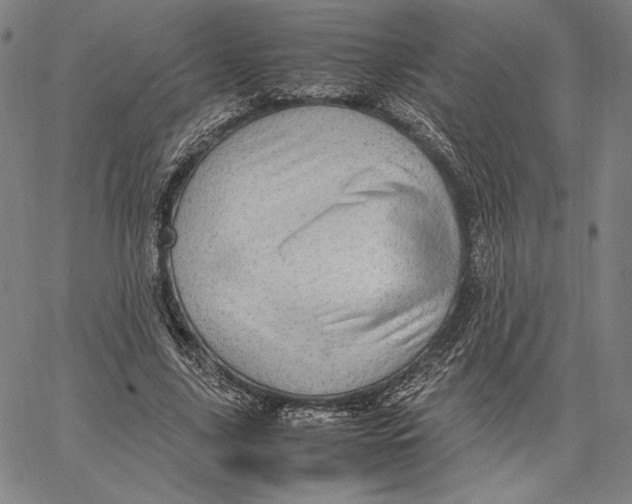 X0000067380635200604211609