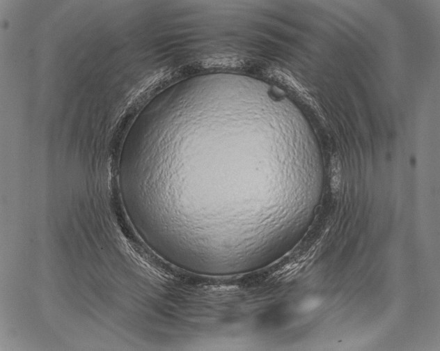 X0000067380637200604211609