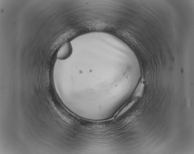 X0000067380638200604211609